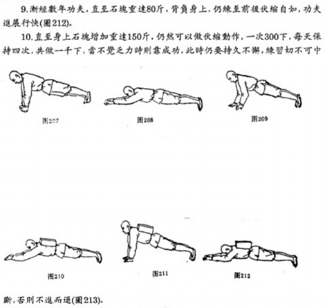  秘传卧虎功----杨毅