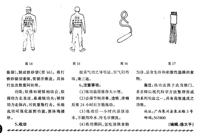  武当仙童盗甲功----桂芳